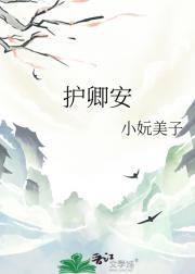 护卿安
