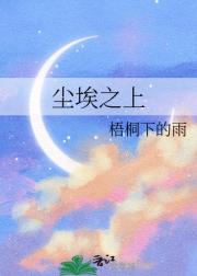 尘埃之上