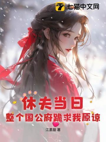 休夫当日，整个国公府跪求我原谅