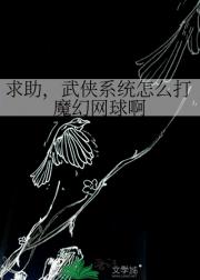 求助，武侠系统怎么打魔幻网球啊