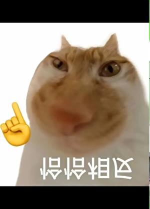 长生种开启了猎人朋友圈